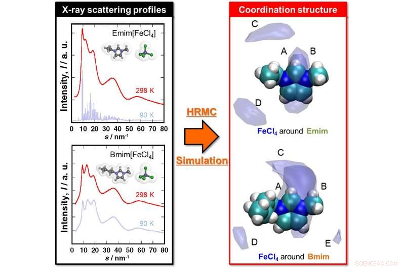 Unveiling Magnetic Ionic Liquid Structures via Hybrid Reverse Monte Carlo Simulation