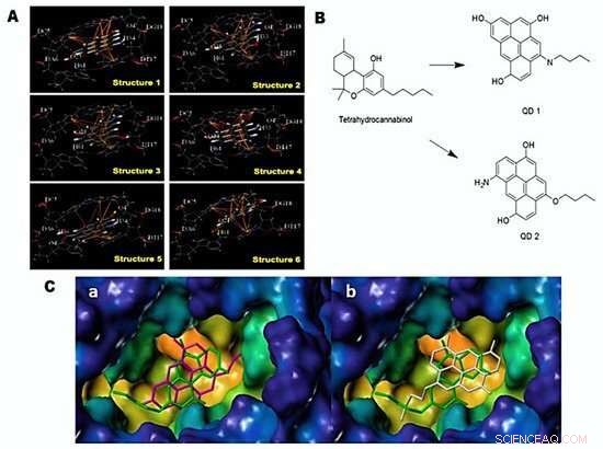 UTEP Scientists Pioneer Biofriendly Carbon Quantum Dots for Neurological Drug Design