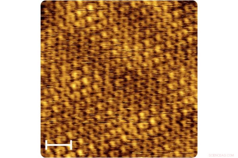 Gold and Silver: Probing Graphene-Coated Gold Layers with Advanced Spectroscopy