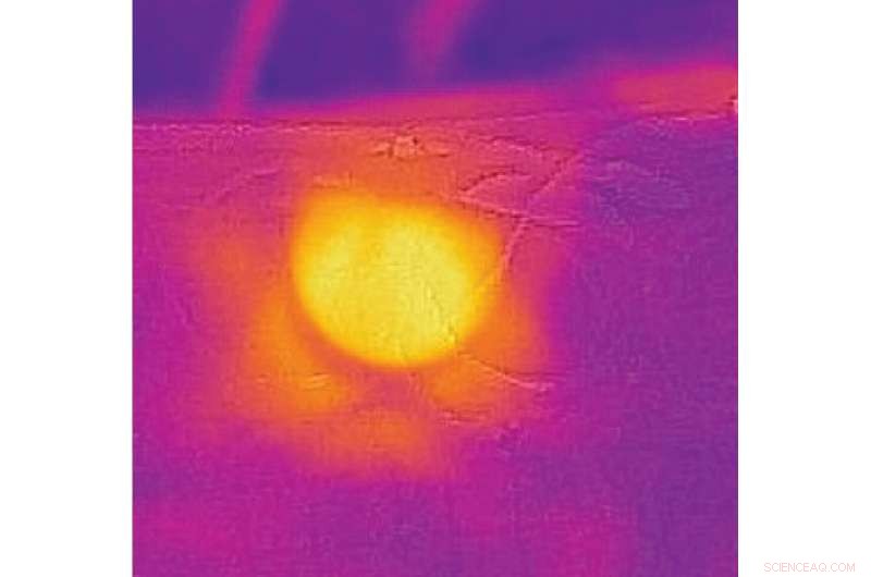 Scientists Illuminate Cancer Cells with Nanosheets to Enhance Treatment Efficacy