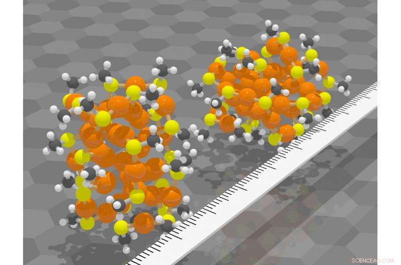 Machine Learning Uncovers Structure and Dynamics of Gold Nanoparticles
