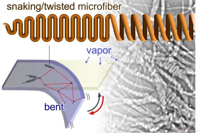 Twisted Polysaccharide Microfibers Show Water Vapor Response