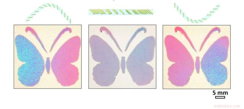 Gold Nanoparticle Film Enables Robots to Mimic Chameleon Skin