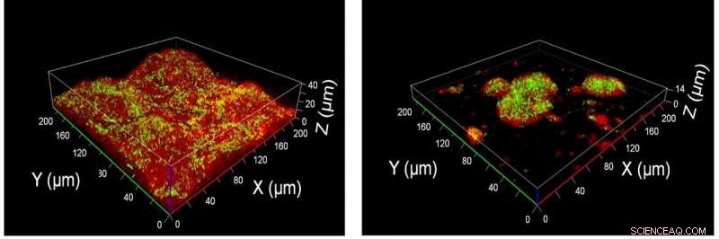Indian Institute of Science Breakthrough: Nanomaterials as First Broad‑Spectrum Antimicrobial Agents