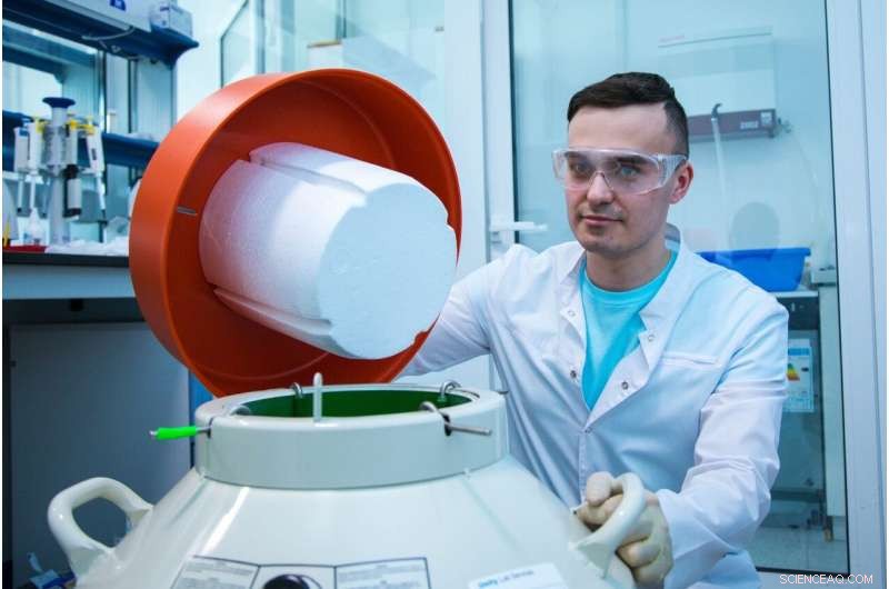 Scientists Reveal How Magnetic Nanoparticles Target and Destroy Liver Cancer Cells