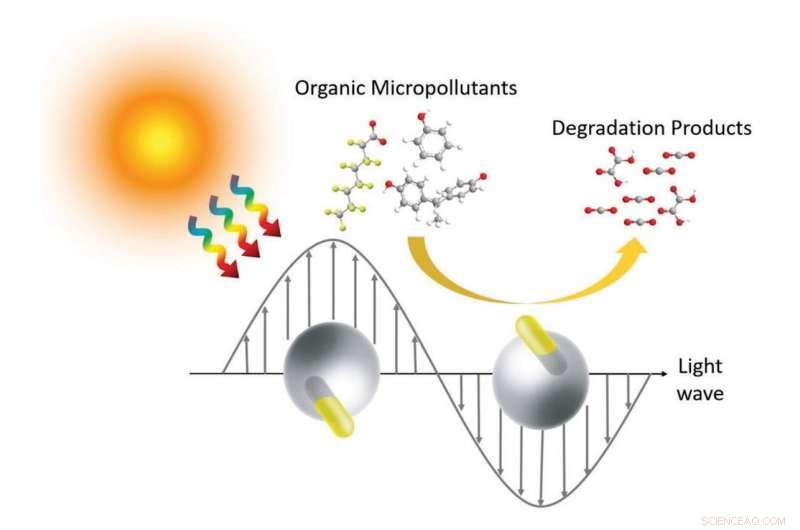 Janus Gold Nanorods Convert Light into Heat to Neutralize Water Pollutants