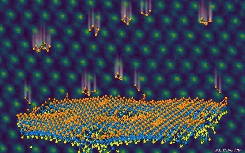 Precise Atom Implantation in Janus Monolayers Could Revolutionize Energy and Information Technologies