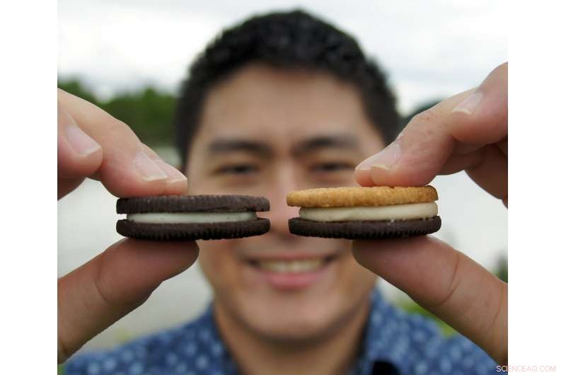 Precise Atom Implantation in Janus Monolayers Could Revolutionize Energy and Information Technologies