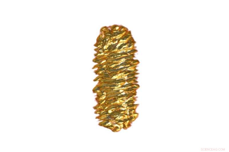 Scientists Reveal New Method to Fabricate Metal Nanoscrews