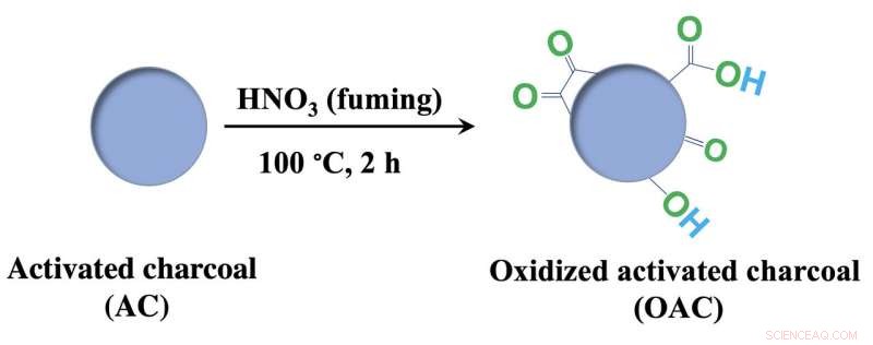 Charcoal-Based Artificial Enzymes: A New Weapon Against Superoxide-Induced Damage