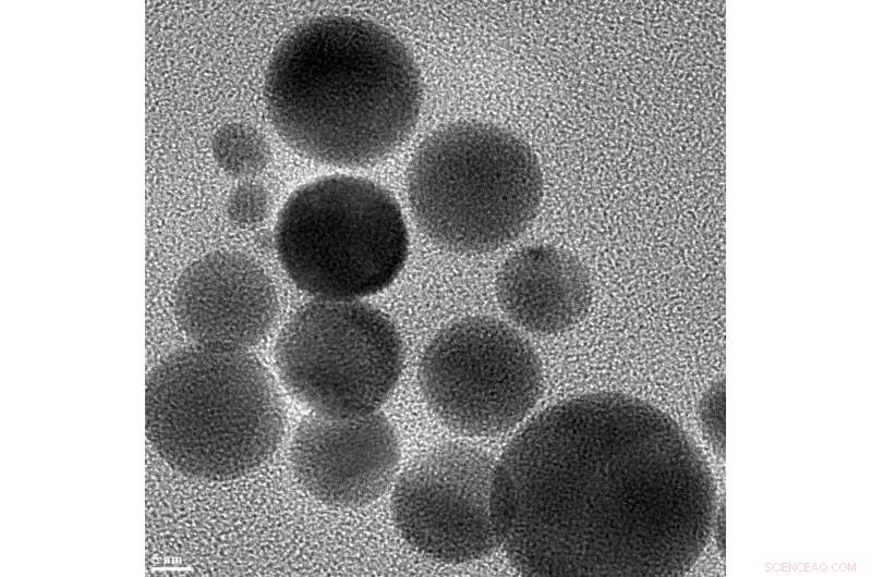 Charcoal-Based Artificial Enzymes: A New Weapon Against Superoxide-Induced Damage