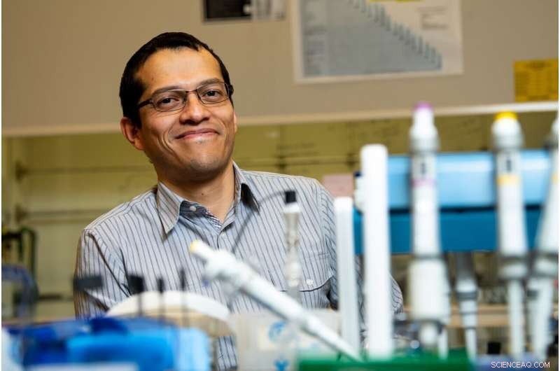 Iron Oxide Nanoparticle Catalyst Enhances CO₂-to-CO Conversion Efficiency