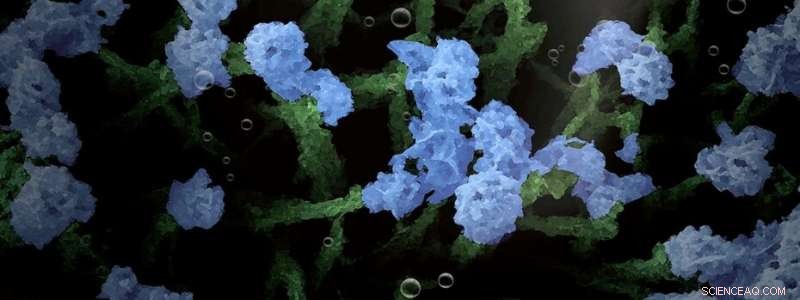 Cobalt Phosphide Nanogardens: Efficient Catalysts for Clean Hydrogen Production