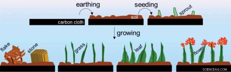 Cobalt Phosphide Nanogardens: Efficient Catalysts for Clean Hydrogen Production