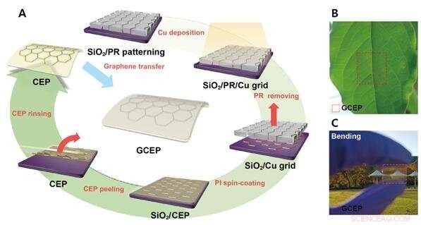 Graphene‑Armored Electrodes: Boosting Stability and Performance in Perovskite Solar Cells