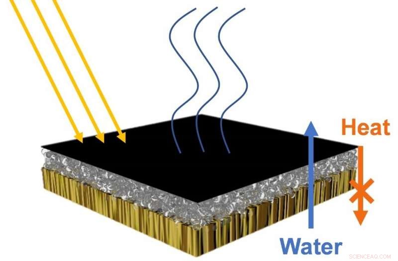 Solar-Driven Water Purification Using Wood, Bacteria, and Photothermal Nanotubes