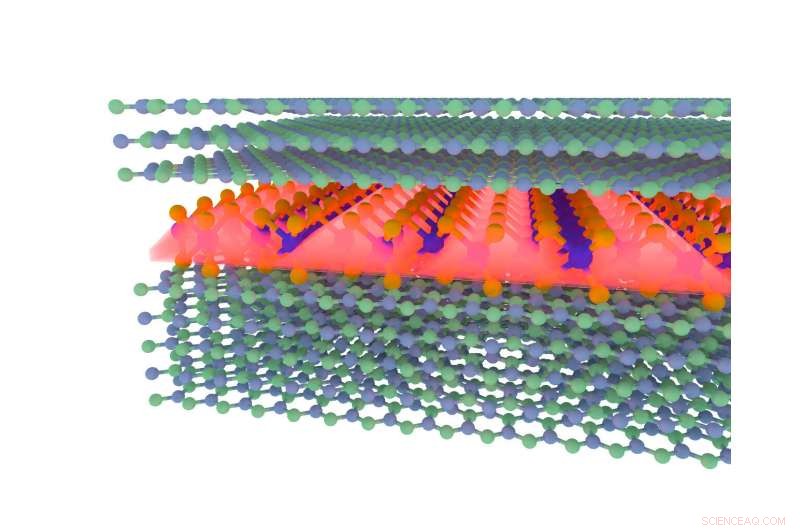 Scientists Confirm Light‑Squeezing 2‑D Exciton‑Polaritons Exist in Transition‑Metal Dichalcogenides