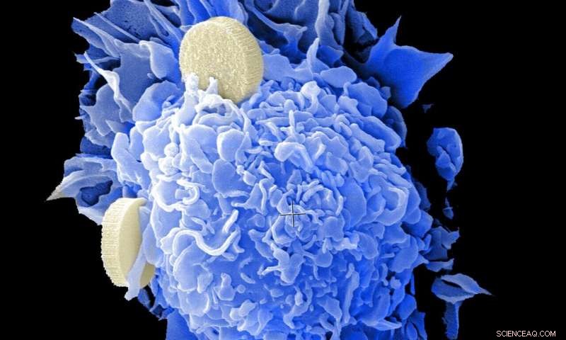 Light-Activated Nanoparticles Achieve Tumor Regression in Mice