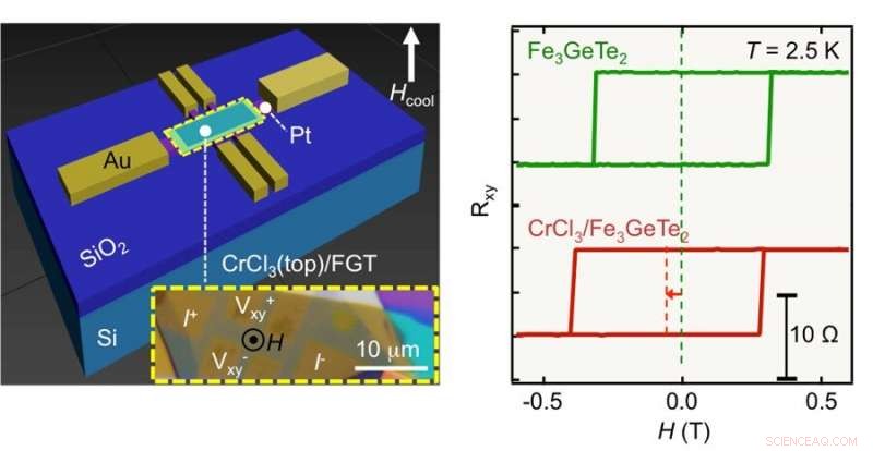 Exchange Bias Phenomena in Van der Waals Heterostructures