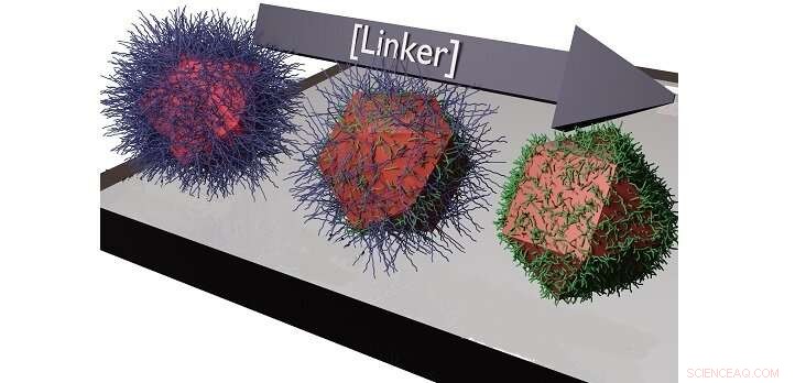 Optimizing the Fabrication of Coupled Nanocrystal Solids for Superior Electrical Conductivity