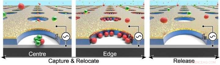 New Dielectrophoretic Tweezers Enable Precise Control of Toxic Nanoparticles