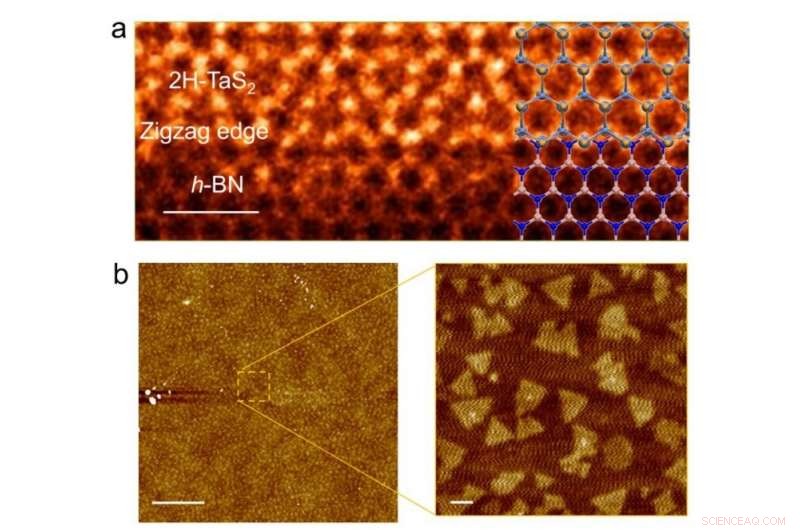 Stabilizing Charge Density Wave Phases Through Interfacial Interactions in 2D Materials