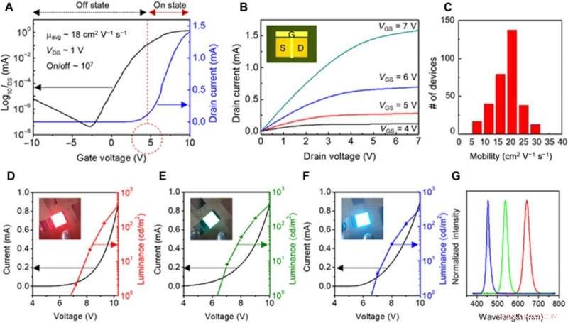 High-Performance MoS₂ AMOLED Display Integrated on Human Skin