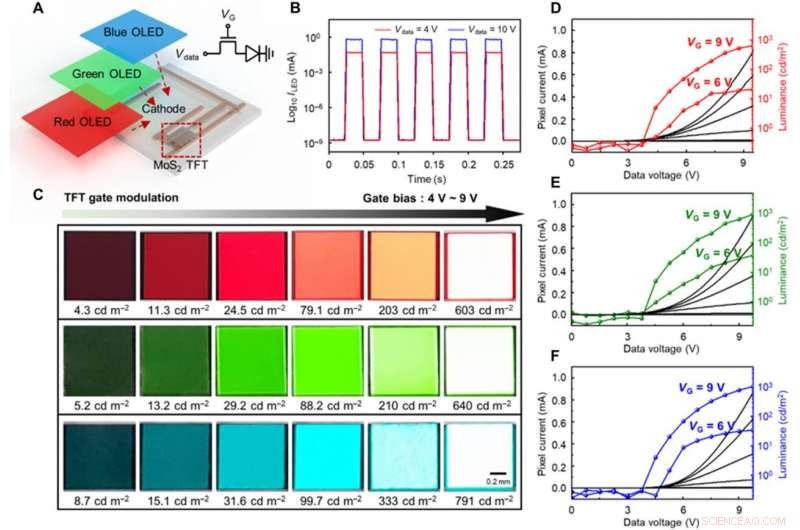 High-Performance MoS₂ AMOLED Display Integrated on Human Skin