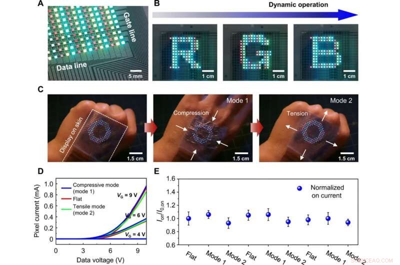 High-Performance MoS₂ AMOLED Display Integrated on Human Skin