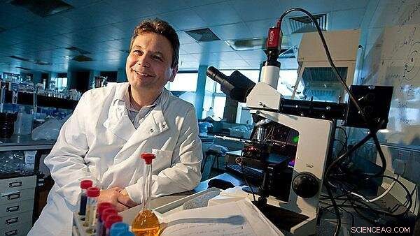 Groundbreaking Study Reveals How Nanoparticles Affect Animal Health