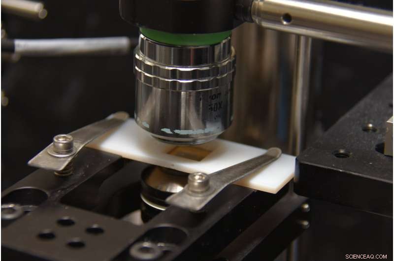 Nanoparticle Trapping: A Powerful Tool for Precision Nanomanipulation