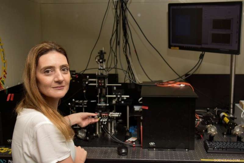 Nanoparticle Trapping: A Powerful Tool for Precision Nanomanipulation