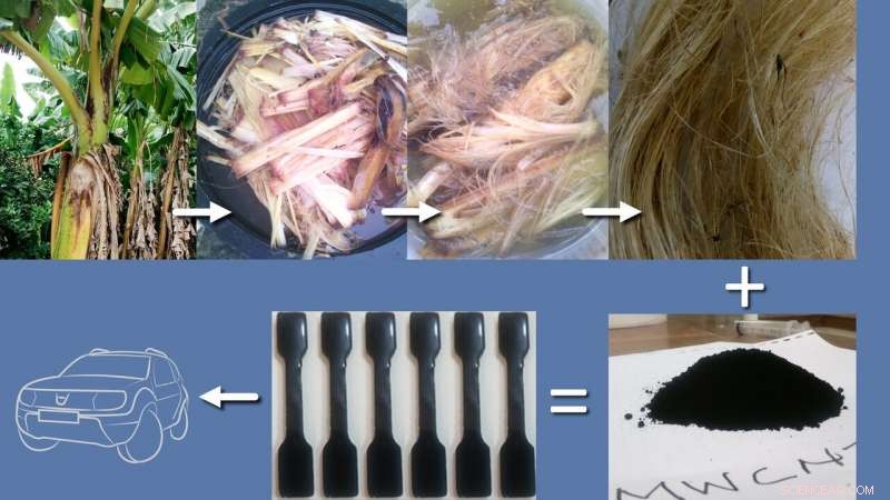 Revolutionizing Automotive Design: Plantain Stems and Carbon Nanotubes Boost Performance and Sustainability