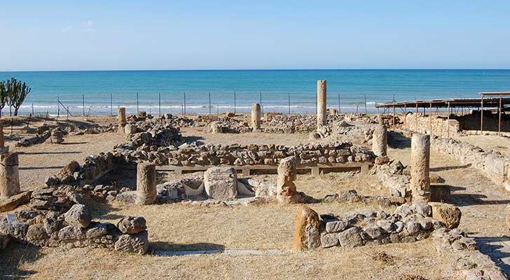 USF Archeologists Reveal Hidden Economic Insights of Ancient Roman Villa