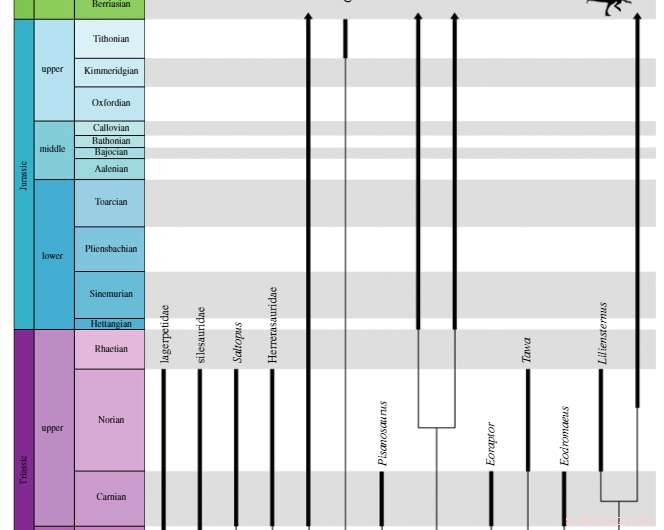 New Study Spots Missing Link in Dinosaur Evolution