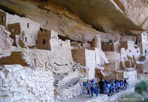 Turkey DNA Reveals Migration Path of Ancient Mesa Verde Cliff Dwellers