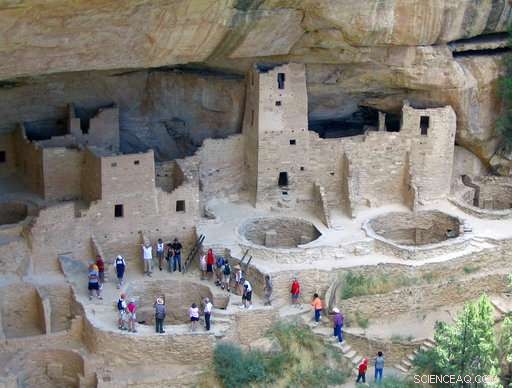 Turkey DNA Reveals Migration Path of Ancient Mesa Verde Cliff Dwellers