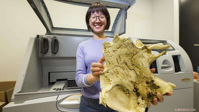 Ancient 400‑Million‑Year‑Old Fish Fossil Uncovers Jaw Structure Shared With Humans