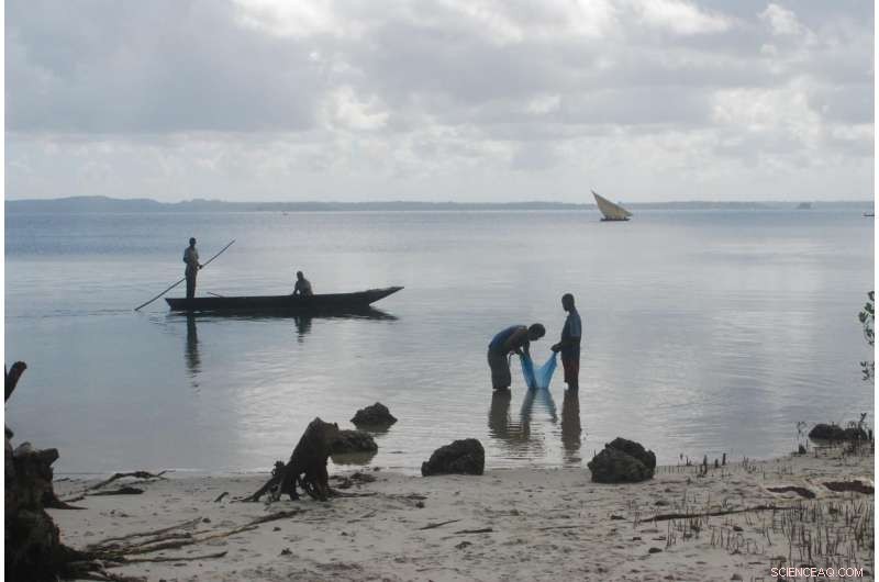 Indian Ocean Trade in the 7th–8th Centuries Brought Chickens and Black Rats to East Africa