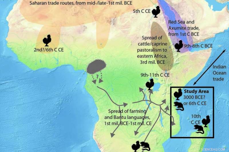 Indian Ocean Trade in the 7th–8th Centuries Brought Chickens and Black Rats to East Africa