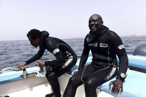 Unearthing History: Ibrahima Thiaw s Search for Senegal s Lost Slave Shipwrecks