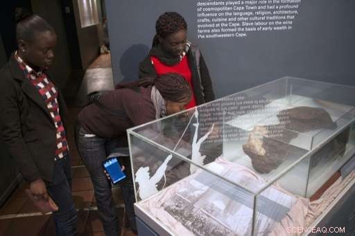 Unearthing History: Ibrahima Thiaw s Search for Senegal s Lost Slave Shipwrecks