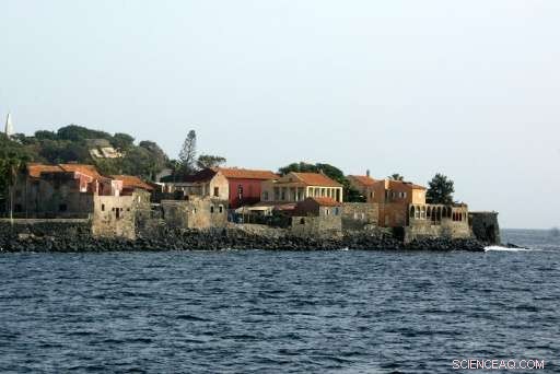 Unearthing History: Ibrahima Thiaw s Search for Senegal s Lost Slave Shipwrecks