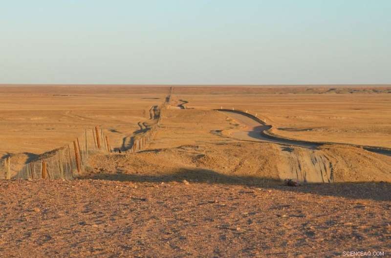 Investigating Sly Grog Trade: Combating Illicit Alcohol in Indigenous Communities