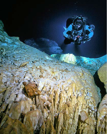 Ground Sloth Bones Discovered in Mexico’s Underwater Caves Unveil Ice Age Insights