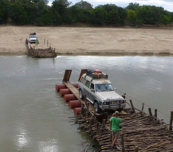 Diversity Patterns in Tetrapod Recovery After the End‑Permian Mass Extinction