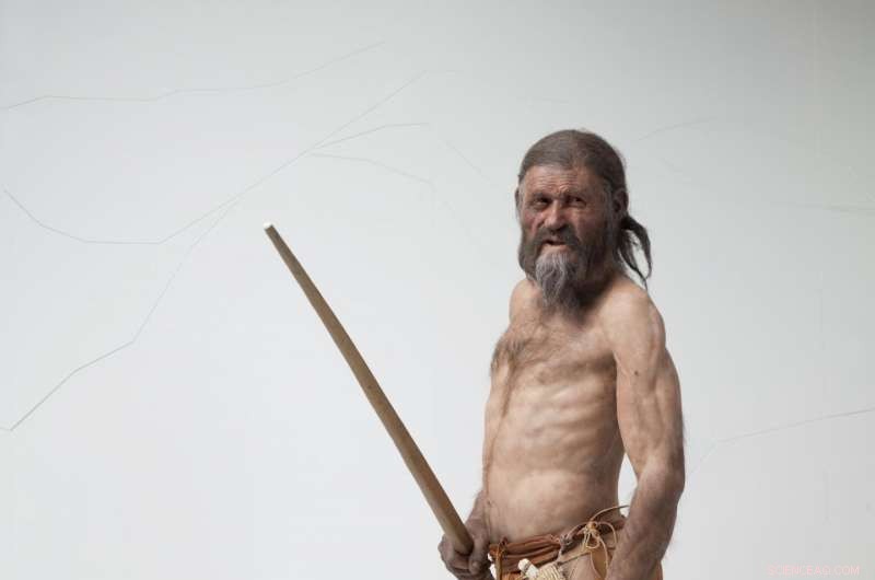 Exploring Ötzi the Iceman: A Genetic Journey into Ancient Lives