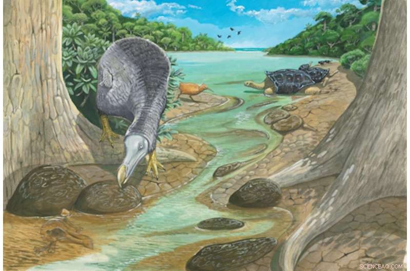 Unveiling the Dodo: Myths, Misconceptions, and the Truth Behind the Extinct Bird