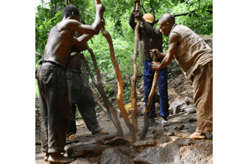 Cameroon’s Endangered Languages: Community Insights into Preservation and Identity