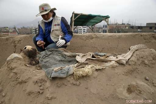 Peruvian Archaeologists Uncover Tombs of 16 Chinese Migrants in Pre-Inca Sacred Site